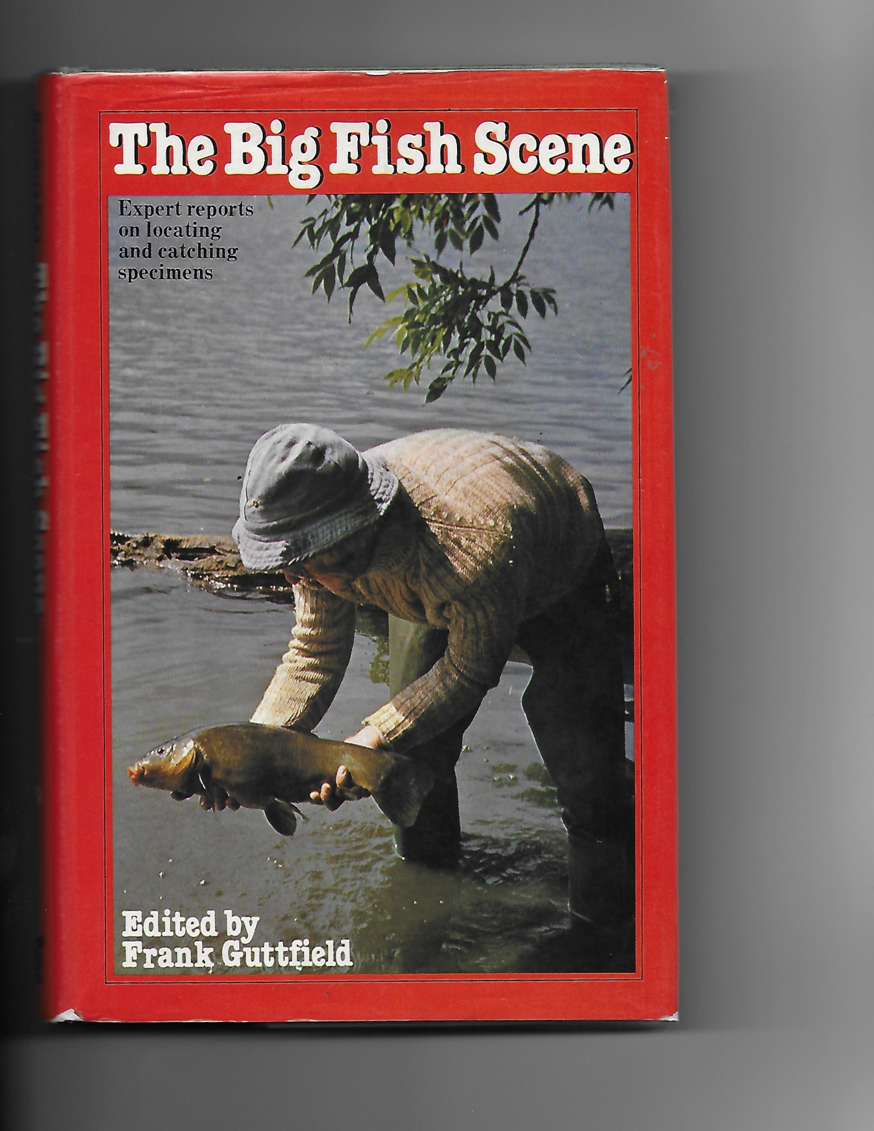 THE BIG FISH SCENE ⋅ The Chaucer Bookshop